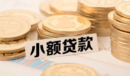 成都急用钱身份证贷款平台-成都急用钱私人借贷不查征信-成都急用钱空放借钱